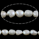 Barok Gekweekte Zoetwater Parel kralen, wit, Grade AA, 9-10mm, Gat:Ca 0.8mm, Per verkocht 15.5 inch Strand