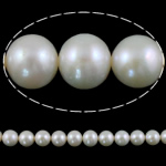 Runda odlad sötvattenspärla pärlor, Freshwater Pearl, naturlig, vit, Grade AA, 9-10mm, Hål:Ca 0.8mm, Såld Per 15 inch Strand