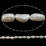 Coirníní Bharócach saothraithe Diúilicín Péarla, Pearl Fionnuisce, Prátaí, nádúrtha, bán, Bracelet Sláintiúil, 6-7mm, Poll:Thart 0.8mm, Díolta Per 15 Inse Snáithe