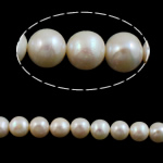 Runde ferskvandskulturperle Beads, Ferskvandsperle, naturlig, hvid, Grade AA, 11-12mm, Hole:Ca. 0.8mm, Solgt Per 15 inch Strand