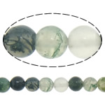 Natuurlijke zeegroene agaat kralen, Moss Agate, Ronde, 4mm, Gat:Ca 0.8-1mm, Lengte Ca 15 inch, 10strengen/Lot, Verkocht door Lot