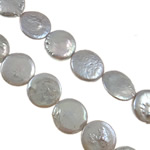 Coin Gekweekte Zoetwater Parel kralen, Grade AA, 14mm, Gat:Ca 0.8mm, Per verkocht 15 inch Strand