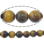 Tiger Eye perle, Krug, prirodan, 8mm, Rupa:Približno 1mm, Dužina Približno 15 inčni, 5pramenovi/Lot, Približno 46računala/Strand, Prodano By Lot