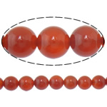 Φυσικά Χάντρες Red Agate, Γύρος, 4mm, Τρύπα:Περίπου 1.5mm, Μήκος Περίπου 15.5 inch, 10Σκέλη/Παρτίδα, Περίπου 98PCs/Strand, Sold Με Παρτίδα