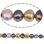 Cultured Baroque Freshwater Pearl Beads mixed colors 8-9mm Approx 0.8mm Sold Per Approx 15 Inch Strand