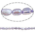 Barok Gekweekte Zoetwater Parel kralen, purper, 5-6mm, Gat:Ca 0.8mm, Per verkocht 15.4 inch Strand