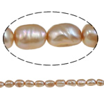 Barokní kultivované sladkovodní perle, Sladkovodní Pearl, Rýže, růžový, 8-9mm, Otvor:Cca 0.8mm, Prodáno za 15.7 inch Strand