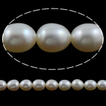 Rýže kultivované sladkovodní perle, Sladkovodní Pearl, přírodní, bílý, Grade, 6-7mm, Otvor:Cca 0.8mm, Prodáno za 15 inch Strand