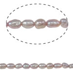 Ris odlad sötvattenspärla pärlor, Freshwater Pearl, purpur, Grade A, 2-3mm, Hål:Ca 0.8mm, Såld Per Ca 13.3 inch Strand