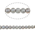 Barok ferskvandskulturperle Beads, Ferskvandsperle, Runde, grå, 10-11mm, Hole:Ca. 0.8mm, Solgt Per Ca. 15 inch Strand