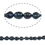 Rice ferskvandskulturperle Beads, Ferskvandsperle, Ris, blå sort, 10-11mm, Hole:Ca. 0.8mm, Solgt Per Ca. 14.7 inch Strand