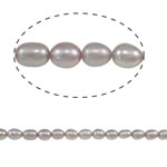 Ris odlad sötvattenspärla pärlor, Freshwater Pearl, purpur, Grade A, 4-5mm, Hål:Ca 0.8mm, Såld Per Ca 14.5 inch Strand