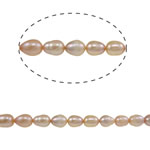 Ris odlad sötvattenspärla pärlor, Freshwater Pearl, rosa, Grade A, 9-10mm, Hål:Ca 0.8mm, Såld Per 14.5 inch Strand