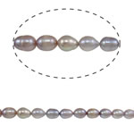 Rýže kultivované sladkovodní perle, Sladkovodní Pearl, nachový, Grade, 9-10mm, Otvor:Cca 0.8mm, Prodáno za Cca 14.5 inch Strand