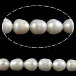 Ris odlad sötvattenspärla pärlor, Freshwater Pearl, vit, Grade AA, 12-13mm, Hål:Ca 0.8mm, Såld Per Ca 15.7 inch Strand