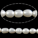 Ris odlad sötvattenspärla pärlor, Freshwater Pearl, vit, Grade A, 9-10mm, Hål:Ca 2mm, Såld Per 15 inch Strand