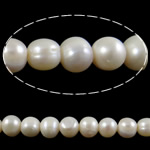 Barokní kultivované sladkovodní perle, Sladkovodní Pearl, Kolo, bílý, 9-10mm, Otvor:Cca 1.5mm, Prodáno za Cca 15 inch Strand