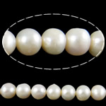 Barokní kultivované sladkovodní perle, Sladkovodní Pearl, Kolo, bílý, 10-11mm, Otvor:Cca 0.8mm, Prodáno za Cca 15.3 inch Strand