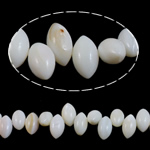 Natural White Helmiäinen, Valkoinen kuori, Horse silmä, luonnollinen, 10x6mm, Reikä:N. 0.8mm, Myyty Per N. 14.5 tuuma Strand