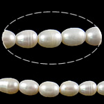 Rice Kulturan Slatkovodni Pearl perle, Riža, prirodan, bijel, Razred AAA, 7-8mm, Rupa:Približno 2mm, Prodano Per Približno 15 inčni Strand