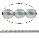 Rýže kultivované sladkovodní perle, Sladkovodní Pearl, šedá, Grade, 10-11mm, Otvor:Cca 0.8mm, Prodáno za 14.5 inch Strand