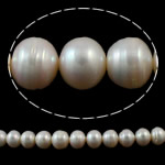 Barokní kultivované sladkovodní perle, Sladkovodní Pearl, Tlačítko, přírodní, bílý, 12-13mm, Otvor:Cca 0.8mm, Prodáno za 15.3 inch Strand