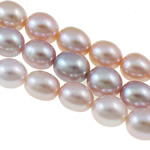 Rýže kultivované sladkovodní perle, Sladkovodní Pearl, přírodní, smíšené barvy, Grade, 7-8mm, Otvor:Cca 0.8mm, Prodáno za 15 inch Strand