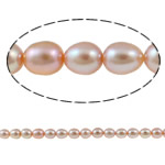 Ris odlad sötvattenspärla pärlor, Freshwater Pearl, naturlig, rosa, Grade A, 6-7mm, Hål:Ca 0.8mm, Såld Per 15 inch Strand