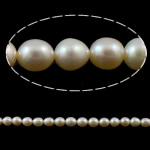 Rice Kulturan Slatkovodni Pearl perle, Riža, prirodan, roze, ocjena, 7-8mm, Rupa:Približno 0.8mm, Prodano Per 15.3 inčni Strand