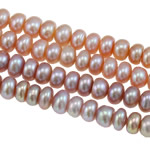 Button Gekweekte Zoetwater Parel kralen, Rondelle, natuurlijk, gemengde kleuren, 5-6mm, Gat:Ca 0.8mm, Per verkocht Ca 14.8 inch Strand