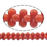 Přírodní Coral korálky, Nuggets, červený, 8x4mm, Otvor:Cca 0.5mm, Délka Cca 16 inch, 10přediva/Lot, Cca 150PC/Strand, Prodáno By Lot