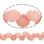 Perline di coralli naturale, corallo naturale, Fiore, Inciso, rosa, 8x8x4mm, Foro:Appross. 0.5mm, Lunghezza Appross. 13 pollice, 10Strandstrefolo/lotto, Appross. 63PC/filo, Venduto da lotto