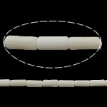 Grânulos corais naturais, Coral natural, Tubo, branco, 7x3mm, Buraco:Aprox 0.5mm, comprimento Aprox 16 inchaltura, 10vertentespraia/Lot, Aprox 52PCs/Strand, vendido por Lot