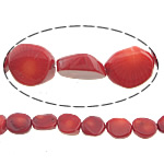 Perles en corail naturel, pepite, rouge, 8-10x10-12mm, Trou:Environ 0.5mm, Longueur Environ 16 pouce, 10Strandstoron/lot, Environ 33PC/brin, Vendu par lot