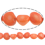 Přírodní Coral korálky, Nuggets, oranžový, 9x6mm, Otvor:Cca 0.5mm, Délka Cca 16 inch, 10přediva/Lot, Cca 44PC/Strand, Prodáno By Lot