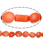 Natürliche Korallen Perlen, Trommel, rote Orange, 10-13x12-15mm, Bohrung:ca. 1mm, Länge ca. 17 ZollInch, 10SträngeStrang/Menge, ca. 36PCs/Strang, verkauft von Menge