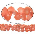 Přírodní Coral korálky, Slza, načervenalá oranžová, 20x11x5mm, Otvor:Cca 0.5mm, Délka Cca 16 inch, 10přediva/Lot, Cca 76PC/Strand, Prodáno By Lot