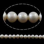 Grânulos de pérolas  cultivadas de água doce de forma redomda., Pérolas de água doce, Roda, naturais, branco, 8-9mm, Buraco:Aprox 0.8mm, vendido para Aprox 15 inchaltura Strand