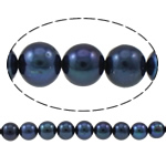 Runde ferskvandskulturperle Beads, Ferskvandsperle, naturlig, sort, 8-9mm, Hole:Ca. 0.8-1mm, Solgt Per Ca. 15.3 inch Strand