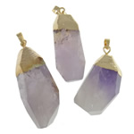 Natürlicher Quarz Anhänger, Amethyst, mit Zinklegierung, Vergoldung, Februar Birthstone & facettierte, 19x61-25x72mm, Bohrung:ca. 10x6mm, 20PCs/Menge, verkauft von Menge