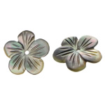 Perles de coquillage noire, coquille noire, fleur, gravé, protéger l'environnement, sans nickel, plomb et cadmium, 12x12x1.50mm, Trou:Environ 1mm, 50PC/sac, Vendu par sac