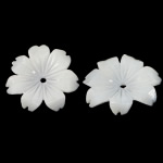 Natural White Shell Perler, Flower, Carved, 14.50x14.50x2mm, Hole:Ca. 0.8mm, 50pc'er/Bag, Solgt af Bag