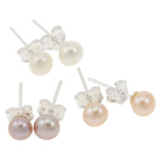 Freshwater Pearl Stud Earring, med Mässing, mässing örhänge inlägg, Rund, silver pläterad, blandade färger, 4.5-5mm, 22x14x3.5cm, 72Pairs/Box, Säljs av Box