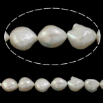 Barokní kultivované sladkovodní perle, Sladkovodní Pearl, Baroko, přírodní, bílý, 12-13mm, Otvor:Cca 0.8mm, Prodáno za 15.7 inch Strand