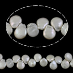 Coirníní Bonn saothraithe Diúilicín Péarla, Pearl Fionnuisce, Teardrop, nádúrtha, bán, 14-15mm, Poll:Thart 0.8mm, Díolta Per 16.7 Inse Snáithe