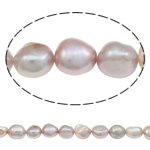 Barokna Kulturan Slatkovodni Pearl perle, prirodan, svijetlo ljubičasta, 11-12mm, Rupa:Približno 0.8mm, Prodano Per 16.1 inčni Strand