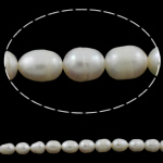 Ris odlad sötvattenspärla pärlor, Freshwater Pearl, naturlig, vit, Grade A, 8-9mm, Hål:Ca 0.8mm, Såld Per 15.5 inch Strand