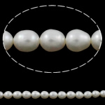 Ris odlad sötvattenspärla pärlor, Freshwater Pearl, naturlig, vit, Grade AA, 8-9mm, Hål:Ca 0.8mm, Såld Per 15 inch Strand