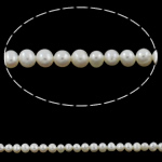 Runda odlad sötvattenspärla pärlor, Freshwater Pearl, naturlig, vit, Grade A, 5-6mm, Hål:Ca 0.8mm, Såld Per Ca 14 inch Strand