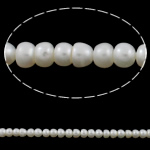 Knap ferskvandskulturperle Beads, Ferskvandsperle, hvid, Grade AA, 5-6mm, Hole:Ca. 0.8mm, Solgt Per 14.5 inch Strand